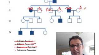 Pedigree Analysis 1 How to solve a genetic pedigree No 1 [upl. by Bencion]