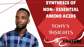 Synthesis of nonessential amino acids [upl. by Nnyre472]