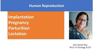 Implantation  Pregnancy  Parturition  Lactation  Human Reproduction  Class 12 Biology [upl. by Azmah]