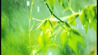 10 Minutes of relaxing rain sounds for Meditation Ideal for Beginners [upl. by Navert765]