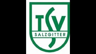 TSV Salzgitter gegen ASV Altenlingen [upl. by Saito27]