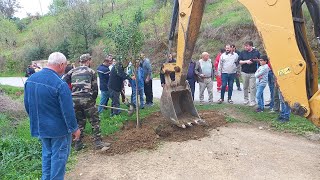 Volontariat Plantation Darbres Au Village Cheurfa quotTizi Ntletaquot ouadhias à Tizi ouzou Détails [upl. by Anrak]