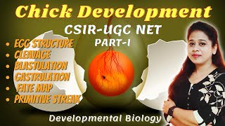 Chick Development Part1 Egg Structure  Cleavage  Blastulation  Gastrulation  Primitive Streak [upl. by Nenad]