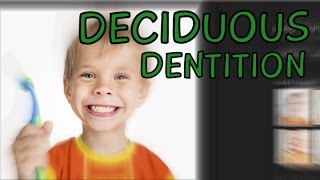 Deciduous Dentition  Primary Teeth  Milk Teeth  Eruption of Teeth [upl. by Leonie]