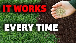 The complete guide on how get a thicker lawn for beginners [upl. by Eiresed]