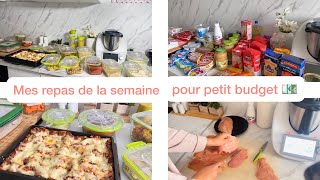 ORGANISATION  repas de la semaine petit budget 💶 Batch cooking [upl. by Dry]