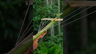 Bamboo creations with three archer and bamboo Bamboo Slingshots Bambooart Diy [upl. by Trenton368]