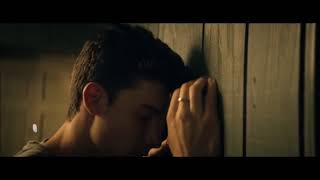 Shawn Mendes  Like This Music Video [upl. by Hahnke]