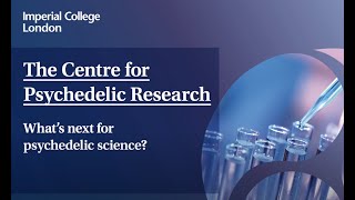 The Centre for Psychedelic Research What’s next for psychedelic science [upl. by Yllib]