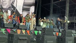 Youthsayers and The Top Cats  Freedom Sounds live at Lambeth Country Show 2024 [upl. by Fagen]