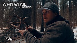 Early November Whitetail Deer Hunting BC 2024 [upl. by Petronille]