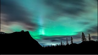 Photographing BanffJaspers Winter Wildlife Landscapes and Northern Lights [upl. by Adaj]