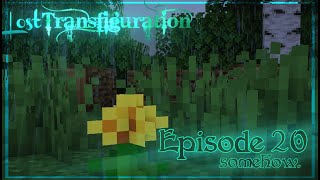 Lost Transfiguration  Ep 20  somehow [upl. by Teemus496]