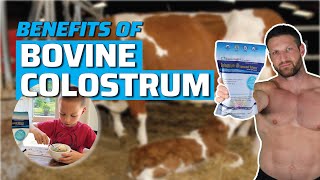 Top 4 Reasons You Should Supplement with Colostrum Based on Science [upl. by Theone918]