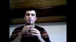 Fairytale of NewYork tin whistle cover [upl. by Pevzner]