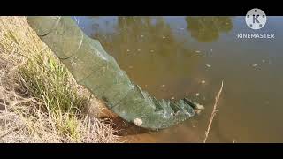 ตะลอนเที่ยว บ่อปลา Fish Farm  Narrabri Australia [upl. by Bishop]