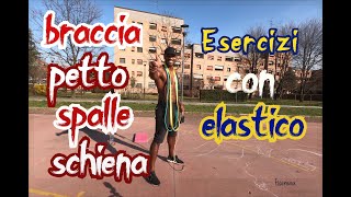 ESERCIZI CON ELASTICO PER SCOLPIRE BRACCIA  SPALLE  TRICIPITI  PETTO E SCHIENA [upl. by Aeslehs678]