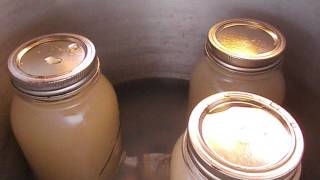 How to safely can homemade chicken broth [upl. by Fruma]