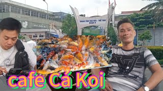 Anh Em Đi Cafe Cá Koi Đại Thế giới [upl. by Notsgnal810]