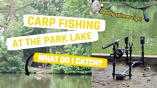 Broadwater park lake What do i catch [upl. by Anilrac]