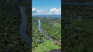 Amazon rainforest from a birds eye view Drone video in 4k [upl. by Arabelle]