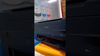 Epson L380 Reset [upl. by Rexer]