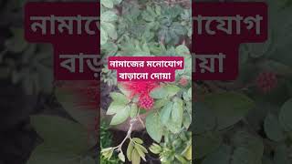 নামাজের মনোযোগ বাড়ানো দোয়া। dua islam waz shorts flowers bassera youtube [upl. by Dearr]