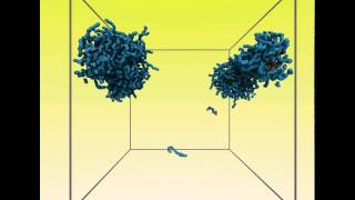 Selfassembly of polyelectrolyte diblock copolymers in aqueous solutions [upl. by Garzon]