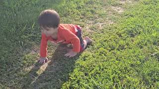 20240614Victor Explores Lawn in Austinville VA After Long Drive [upl. by Akli]