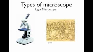 Microscopy  Types of Microscopes [upl. by Joseito]