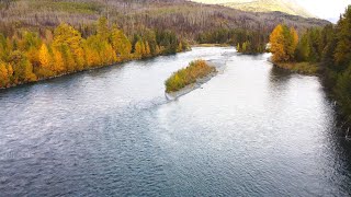 Alaskas Kenai River Salmon Run Drone Footage with Underwater Salmon Action [upl. by Madigan]