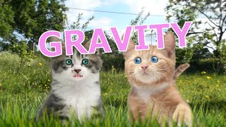 Gravity  Rathergood Chat episode 18 [upl. by Euk]