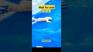 Polar bear physics 😱😱 shorts facts [upl. by Neely]