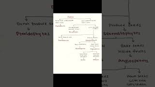 Plants classification biology biologynotes education educational educationalvideo rrb ssc [upl. by Aihsoem695]