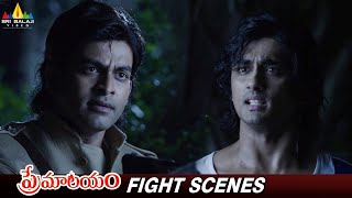 Prithviraj and Siddharth Fight Scenes  Premalayam Movie Scenes  Vedhika SriBalajiAction [upl. by Filmore]