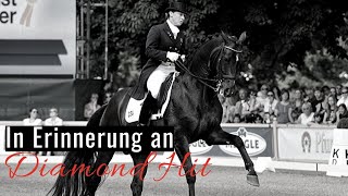 Erinnerungen an Diamond Hit ✨  Seine Verabschiedung aus dem Sport  OLD Hengsttage Vechta [upl. by Watts]