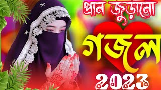 🌿 Bangla Gazal  Ghazal 2023  Islamic Gazal 2023  Notun Gojol 2023  Gazal 2023  islamic gojol [upl. by Dudden]