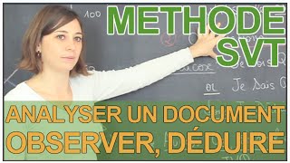 Analyser un document  observer et déduire  SVT  Les Bons Profs [upl. by Oiluj]