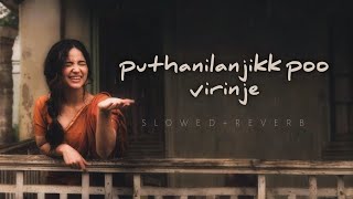 Puthanilanjikk Poo Virinje slowedreverb  Mylanchi Monchulla Veedu  Melody Zone [upl. by Stew]