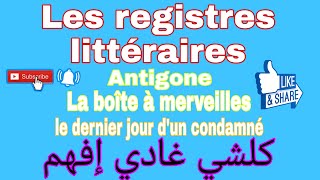 les registres littéraires [upl. by Eladnor97]