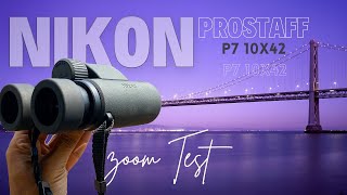 Nikon Prostaff P7 10X42 Binoculars  Live view of Power and Sharpness  BEST BIRDING BINOCULARS [upl. by Tenneb544]