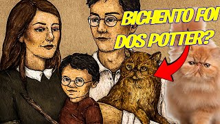 O BICHENTO NA VERDADE ERA DA FAMILIA DOS POTTER  ANALISANDO TERORIAS [upl. by Cathy]