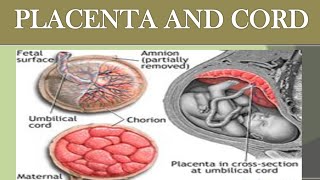 ABNORMALITIES OF PLACENTA amp CORD NOTES WITH EXPLANATION [upl. by Pernell]