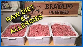 RAW DIET Step by Step How I Feed My Dogs w Allergies 2018 [upl. by Lassiter543]