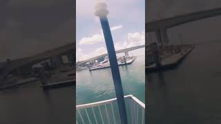 🔴HEAVY GROUPER hit that bell  🔴 fishing fish ocean shorts florida america [upl. by Mchail82]