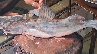 Singhara Fish Cutting Live Fush Market The Amazing Fisher [upl. by Killy31]