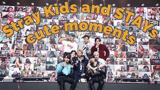 Stray Kids and STAYs cute moments [upl. by Cheung]