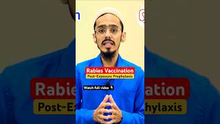 Rabies Protection Vaccination Explained [upl. by Adyahs]