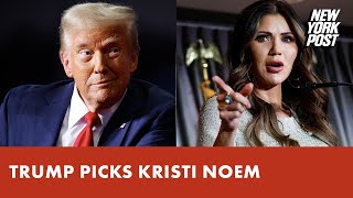 Trump picks Kristi Noem as Homeland Security secretary report [upl. by Llecram809]