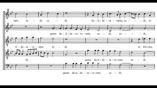 Palestrina Sicut lilium inter spinas Canticum canticorum  Sixteen [upl. by Barsky]